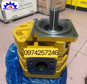 Giá Bơm Nâng hạ LW 500Fn, LW 300FN, Liugong 50Cn, Longking 50Nc  Tp. Hcm