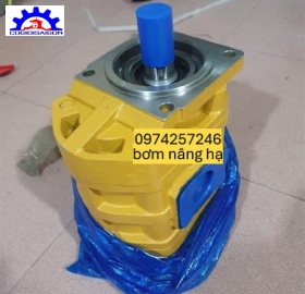 Bơm Thuỷ Lực Nâng Hạ Xe Liugong  50 CN