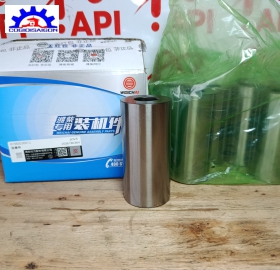 Chốt Piston Động Cơ Weichai WD10