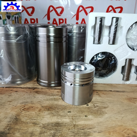 Bộ Hơi Đông Cơ C490BPG