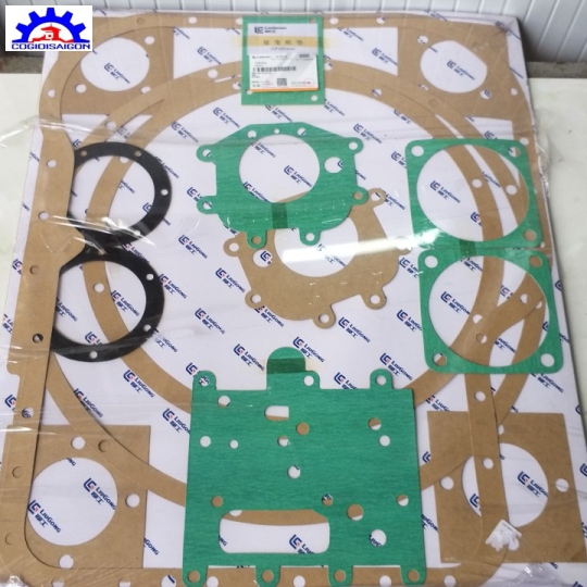 Bộ Ron Sin Phốt Đại Tu Hộp số Liugong 50 CN