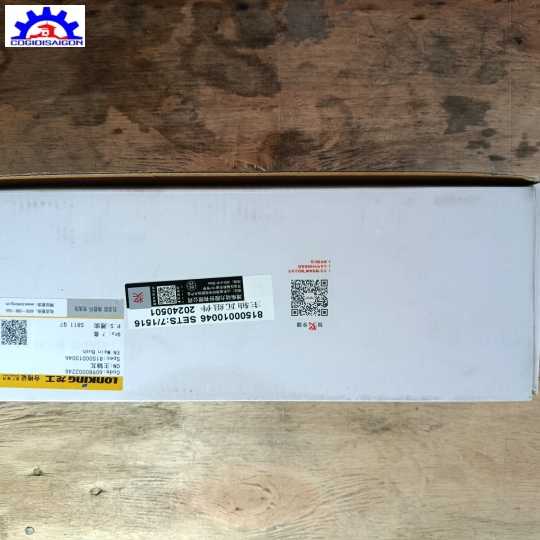 Miễng Cốt (Bạc lót trục khuỷu) Weichai WD10