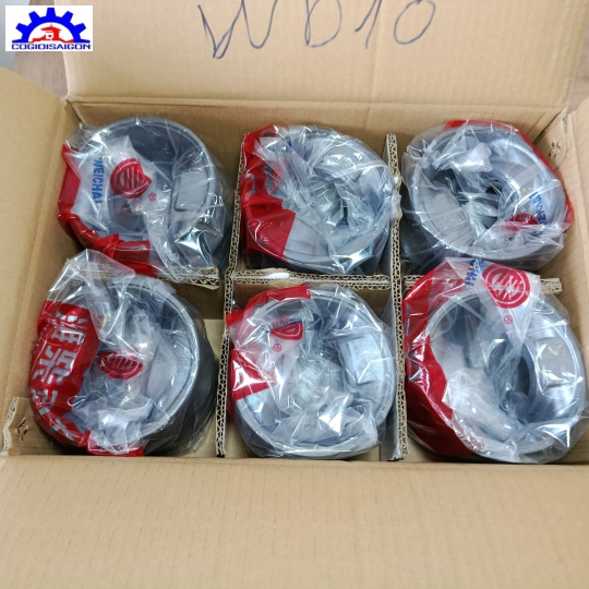 Piston Động Cơ Weichai WD10