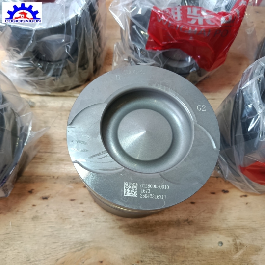 Piston Động Cơ Weichai WD10