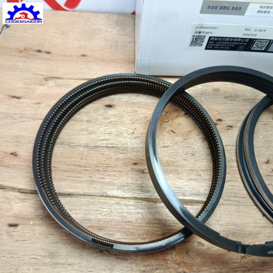 Bộ Xéc Măng Động Cơ Weichai WD10