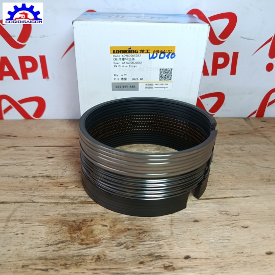 Bộ Xéc Măng Động Cơ Weichai WD10