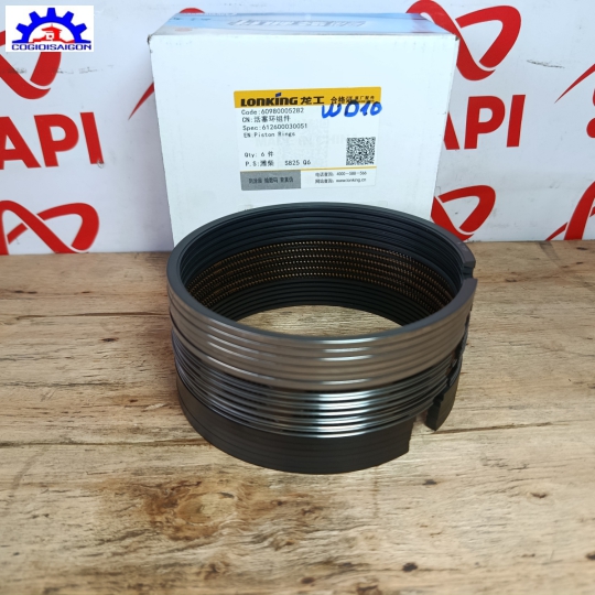 Bộ Xéc Măng Động Cơ Weichai WD10